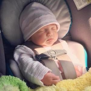 Meet your Posher, Josh